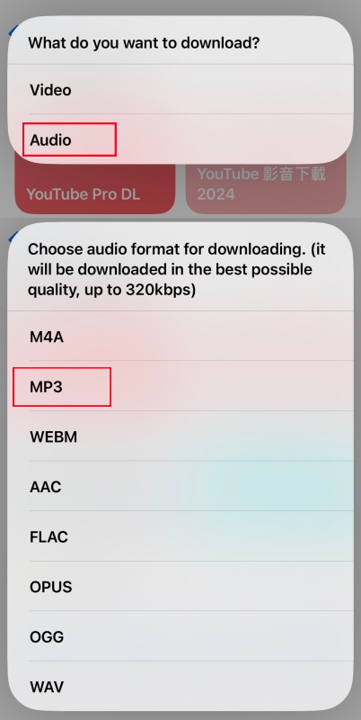 選擇匯出的 YouTube 音訊格式