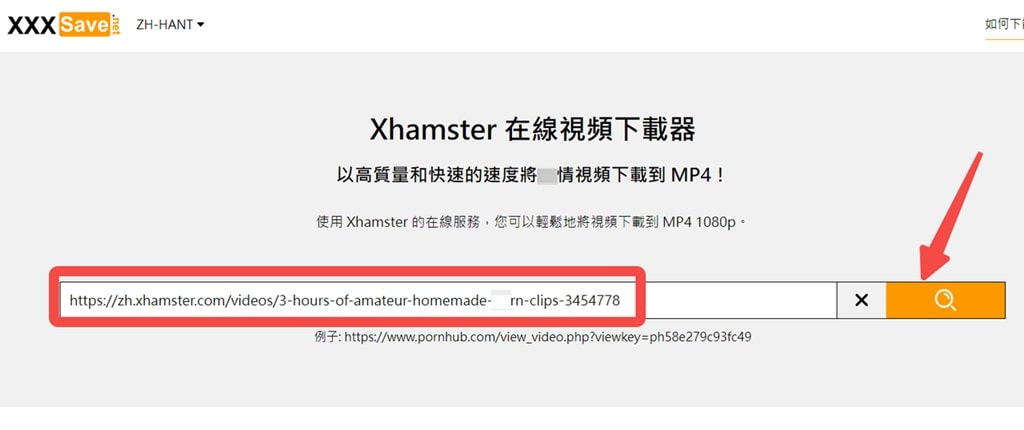 線上下載器獲取 xHamster 影片